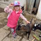 image-picker-12ad3044-5845-4a3c-bb30-6f186a028735-67579-00000a52231e382a_331.1747925255-1000x0_w_1