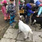 image-picker-1e66fc8a-3bdc-43d6-961a-13b277e9c2b6-6216-000000ae6b6c6f03_21.1748013276-1000x0_w_1