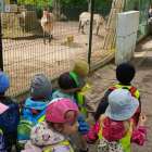 image-picker-3b721eec-0814-437c-ade6-95f0d0a92665-2924-000001ec7963a8e4_809.1747999063-1000x0_w_1