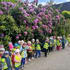 image-picker-8bc3ade9-86a8-4d59-9d79-2c580665bfc7-2924-000001ec7771ab65_339.1747999063-1000x0_w_1