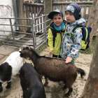 image-picker-bf45534d-7811-4779-a7b4-892aac8cc08e-6216-000000ae8a699244_369.1748013276-1000x0_w_1