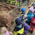 image-picker-dbeba273-030d-454e-b4ac-6160567bf240-67579-00000a52266653ad_889.1747925255-1000x0_w_1