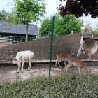 scaled-1000027304_190.1747929694-1000x0_w_1