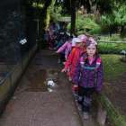 scaled-1000027310_820.1747929694-1000x0_w_1