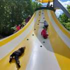 scaled-1000048784_540.1747320111-1000x0_w_1