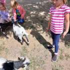 scaled-1000048819_234.1747320111-1000x0_w_1